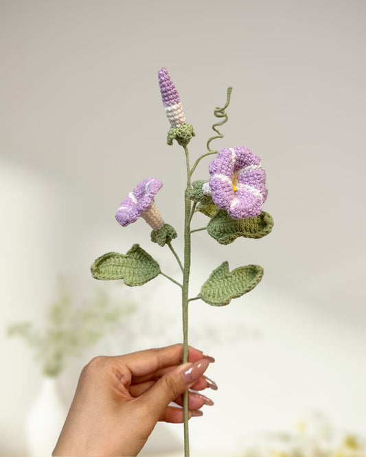 Morning Glory - One Branch