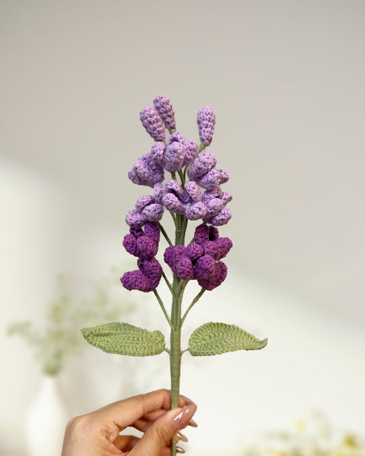 Syringa - One Branch