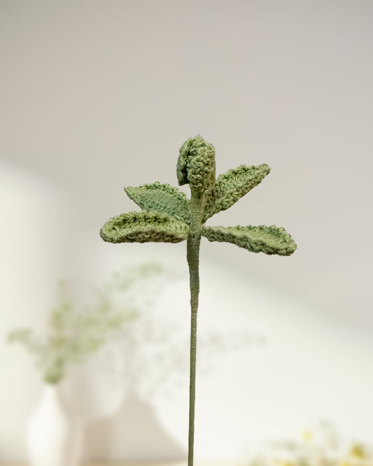 Mint Leaf -One Branch