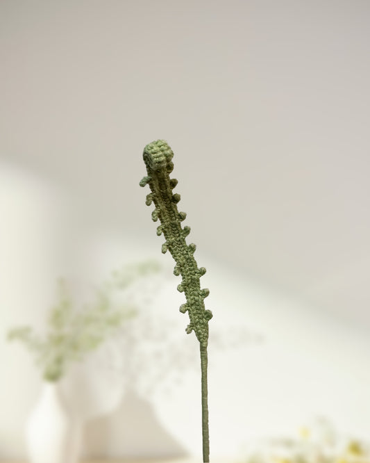 Small Fearn Leaf - One Branch