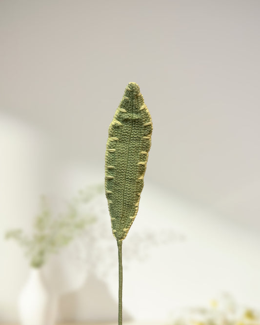 Cordyline Dracaena Leaf - One Branch