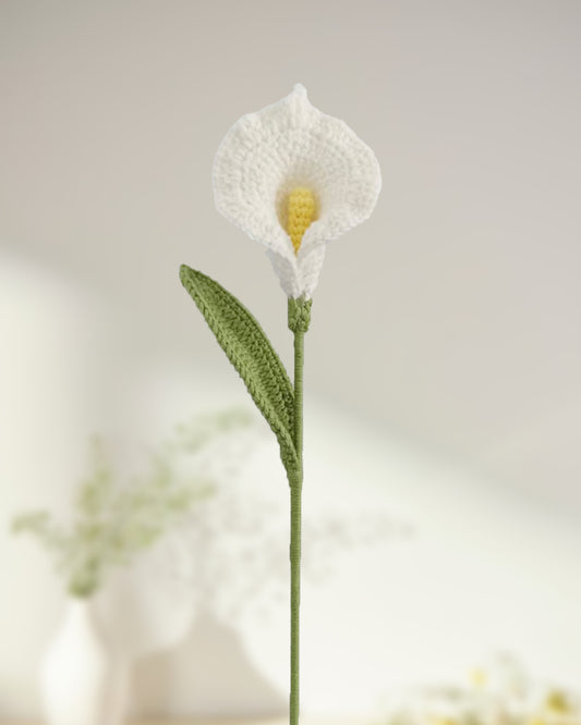 Tulip -One Branch