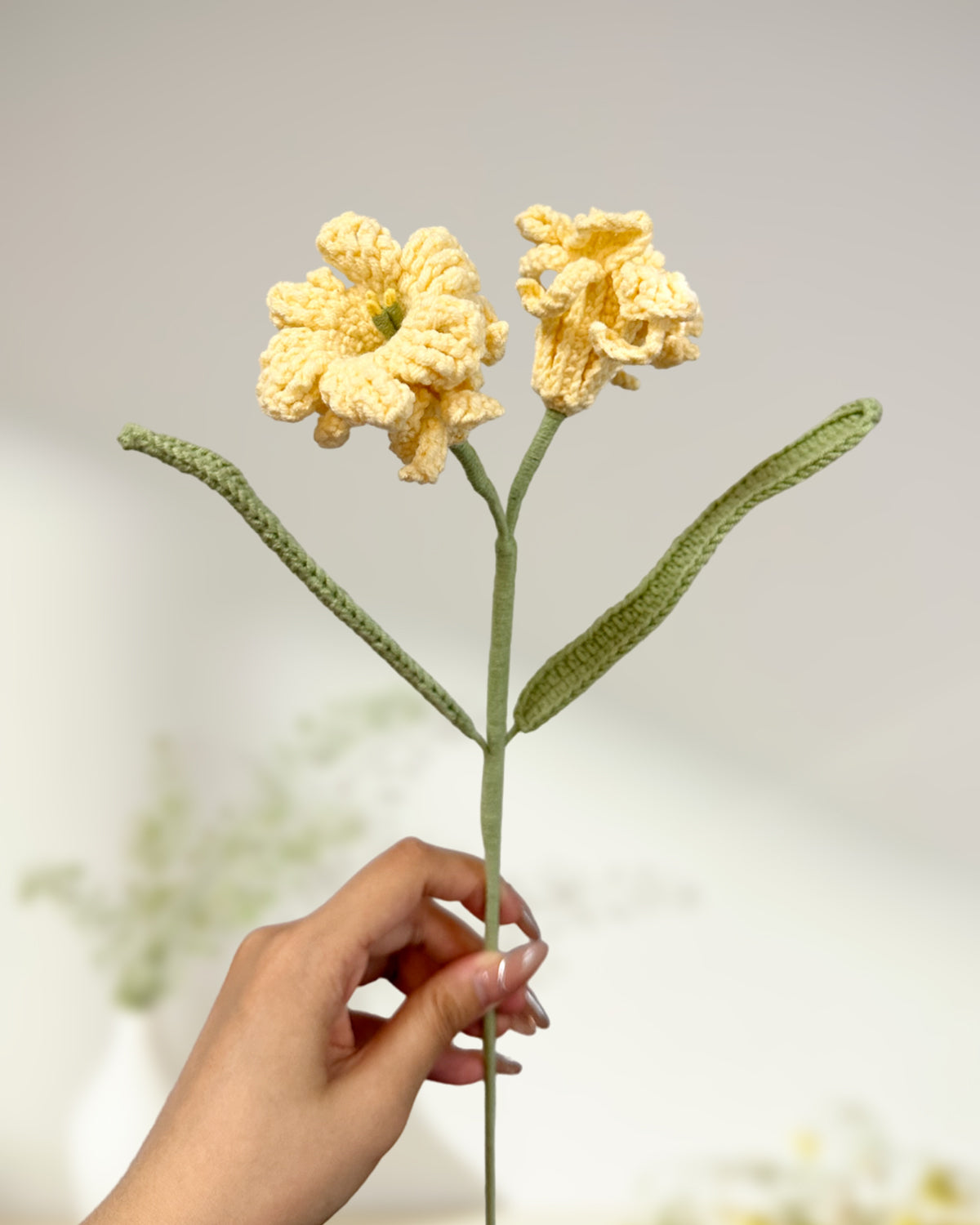 Peruvian Narcissus - One Branch