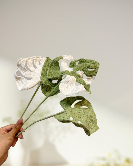 Monstera Leaf - One Branch