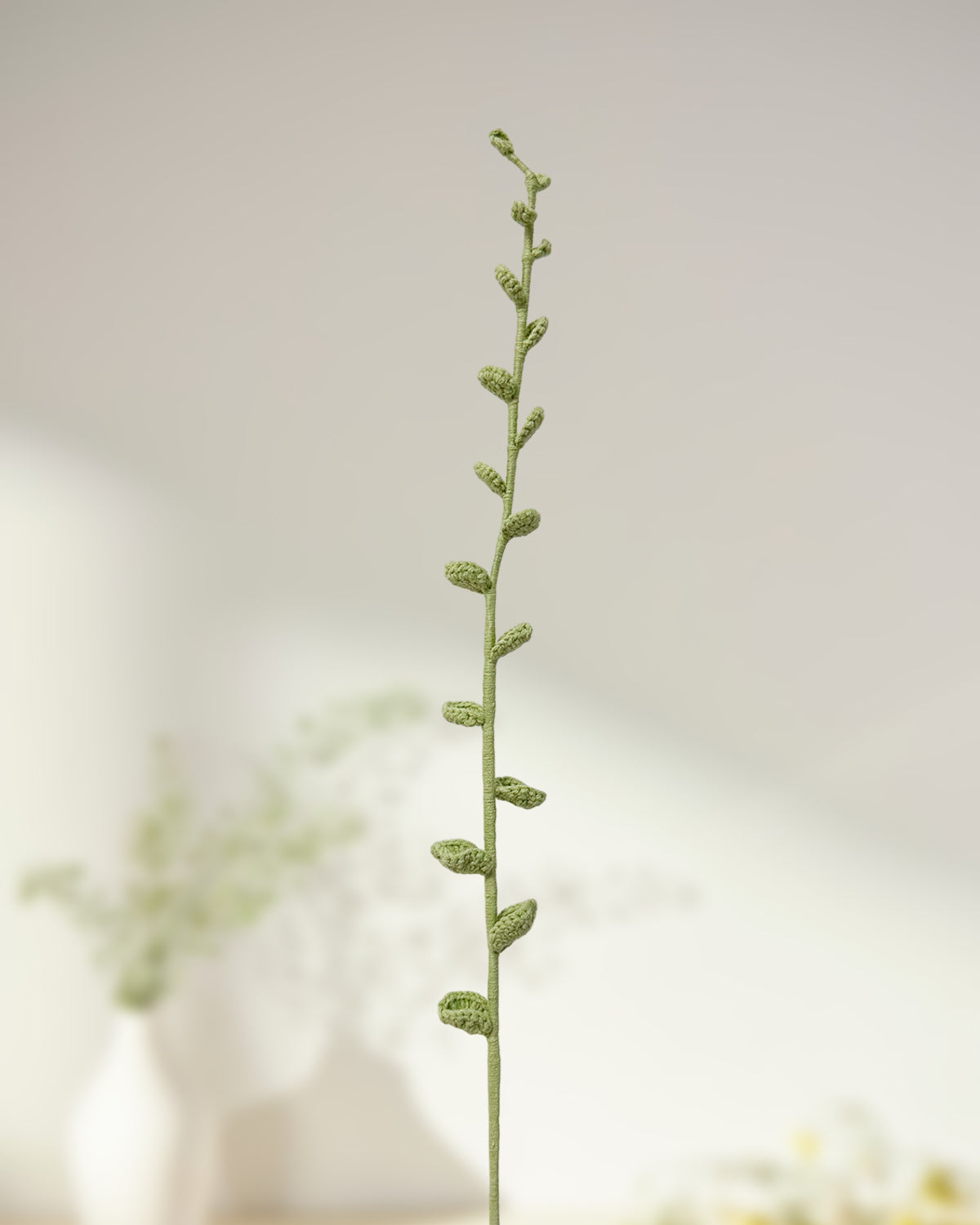 Eucalyptus Leaves -One Branch