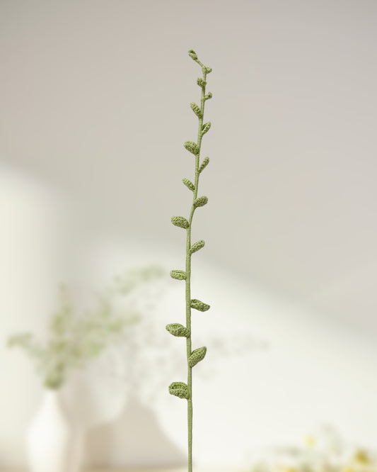 Eucalyptus Leaves -One Branch