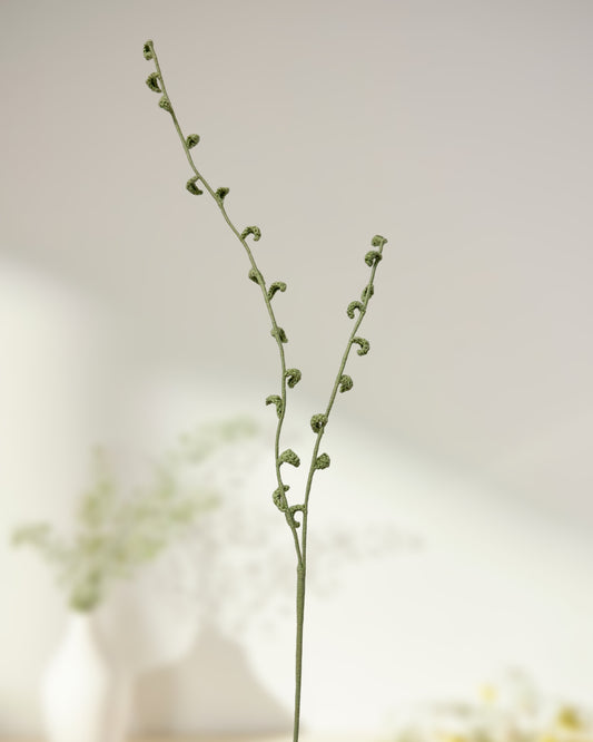 Fontanesia - One Branch