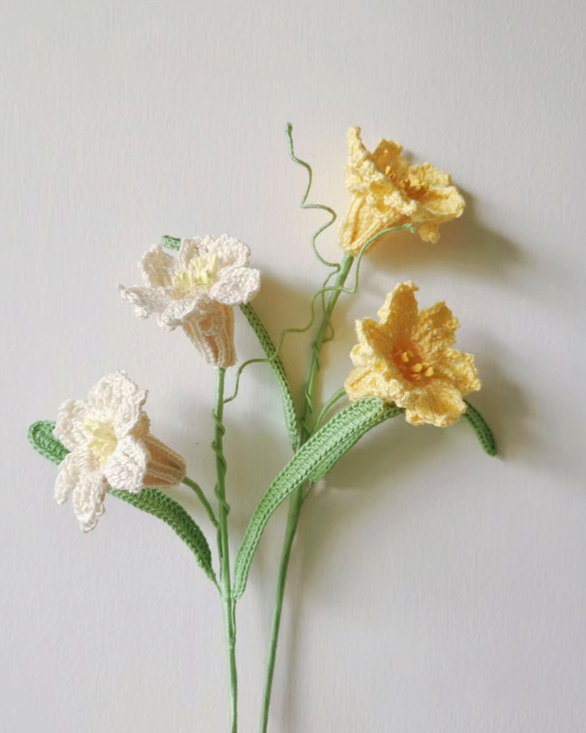 Peruvian Narcissus - One Branch