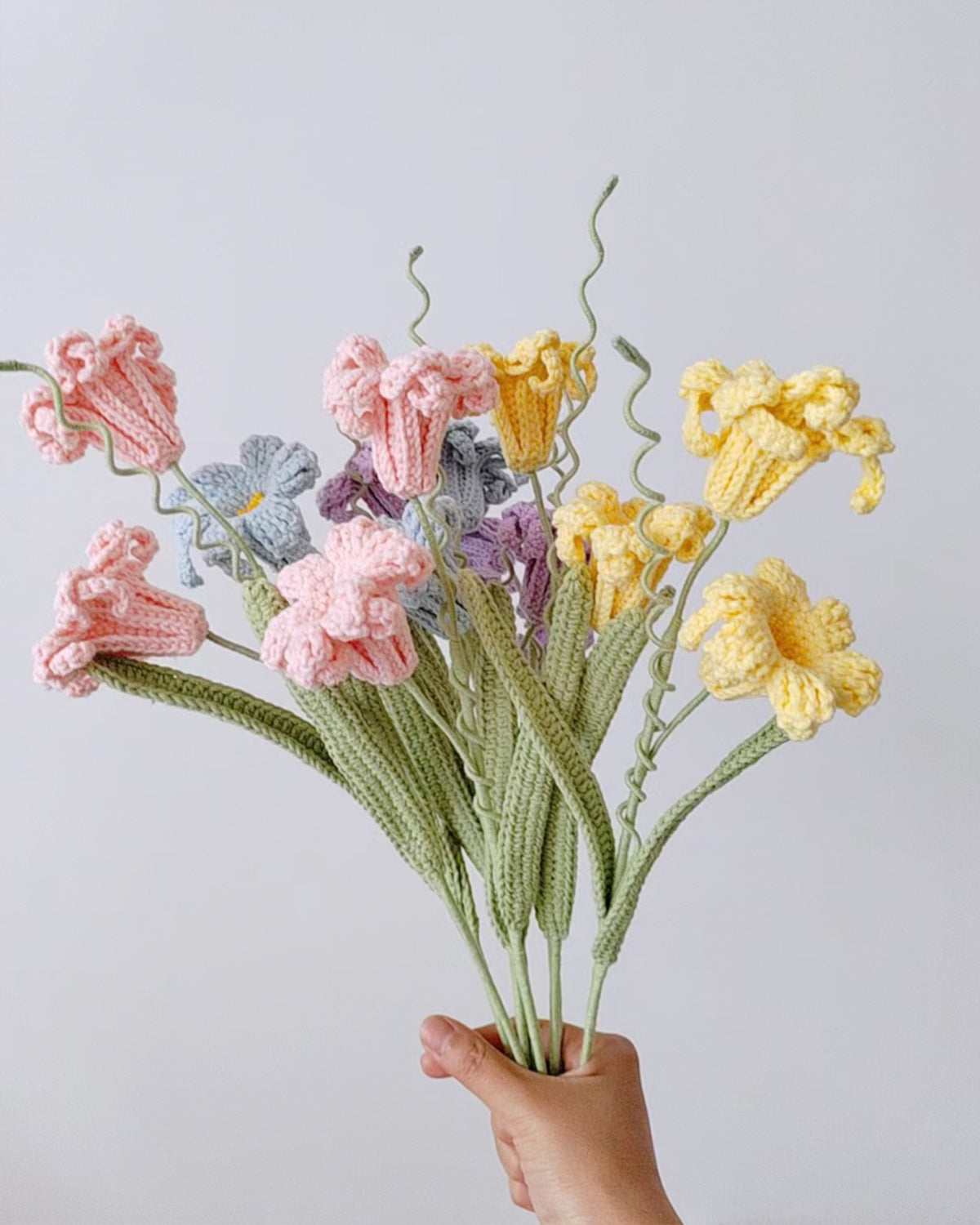 Peruvian Narcissus - One Branch